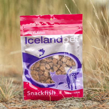 Icelandpet With lobster 2025 sfeer - productfoto (2)