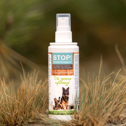 Stop! droogshampoo 2025 sfeer - productfoto