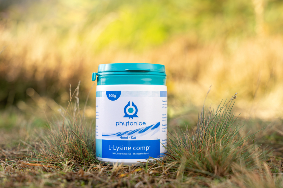 Phytonics L-Lysine comp 2025 sfeer - productfoto (2)