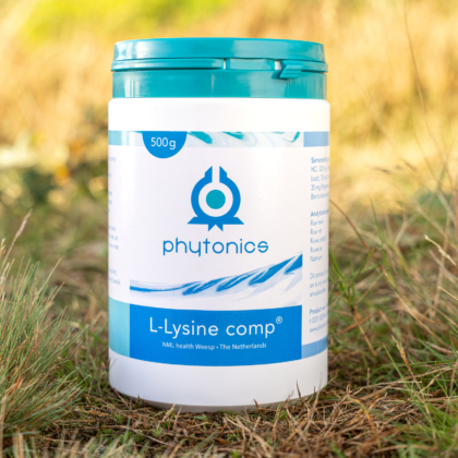 Phytonics L-Lysine comp 2025 sfeer - productfoto