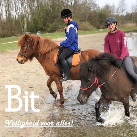 Veiligheid voor alles_BIT-NML